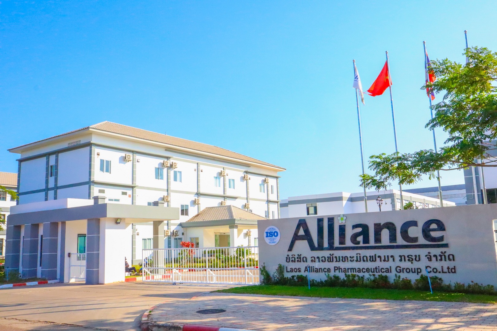 Alliance Pharma Group Background